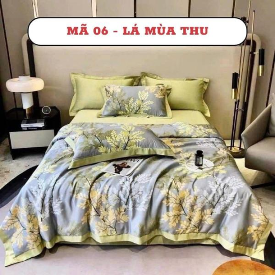  BỘ CHĂN GA GỐI LỤA THÁI - HÀNG NHẬP CAO CẤP 