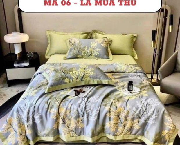  BỘ CHĂN GA GỐI LỤA THÁI